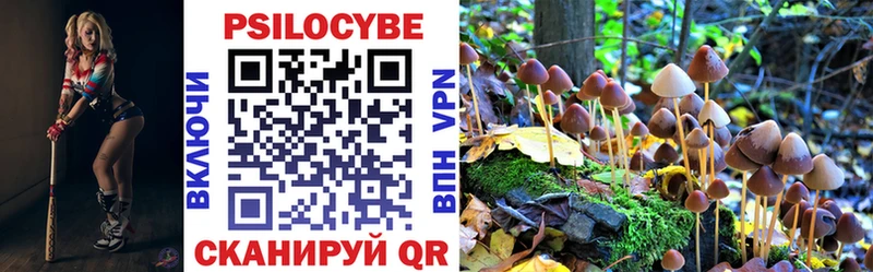 мега ссылки Юрюзань Галлюциногенные грибы прущие грибы купить